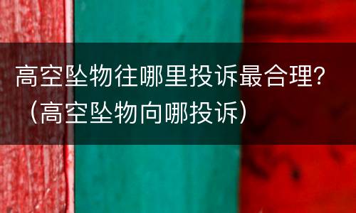 高空坠物往哪里投诉最合理？（高空坠物向哪投诉）