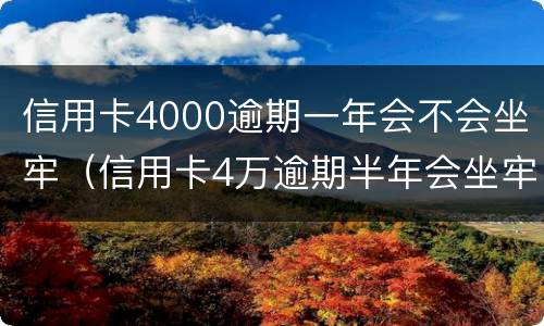信用卡4000逾期一年会不会坐牢（信用卡4万逾期半年会坐牢吗）