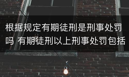 根据规定有期徒刑是刑事处罚吗 有期徒刑以上刑事处罚包括有期徒刑吗