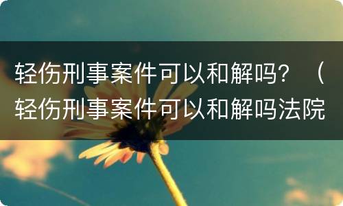 轻伤刑事案件可以和解吗？（轻伤刑事案件可以和解吗法院）