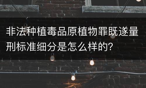 非法种植毒品原植物罪既遂量刑标准细分是怎么样的？