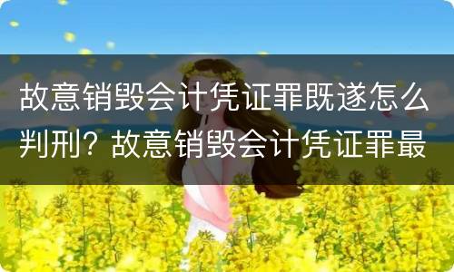 故意销毁会计凭证罪既遂怎么判刑? 故意销毁会计凭证罪最新解释