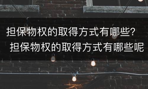 担保物权的取得方式有哪些？ 担保物权的取得方式有哪些呢