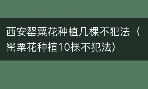 西安罂粟花种植几棵不犯法（罂粟花种植10棵不犯法）