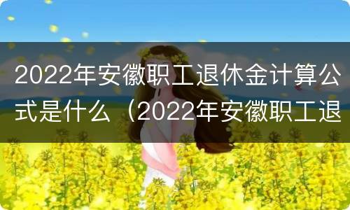 2022年安徽职工退休金计算公式是什么（2022年安徽职工退休金计算公式是什么意思）