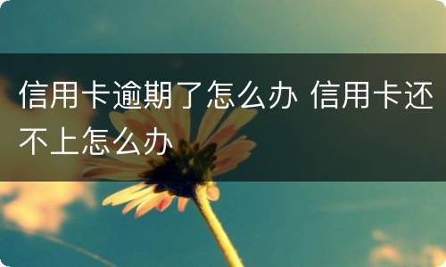 信用卡逾期了怎么办 信用卡还不上怎么办