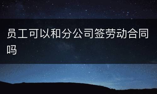 员工可以和分公司签劳动合同吗