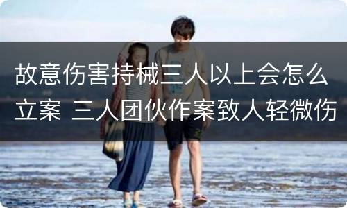 故意伤害持械三人以上会怎么立案 三人团伙作案致人轻微伤害怎么判决