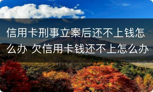 信用卡刑事立案后还不上钱怎么办 欠信用卡钱还不上怎么办会坐牢吗