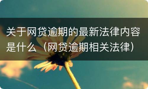 关于网贷逾期的最新法律内容是什么（网贷逾期相关法律）