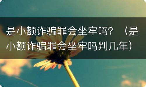 是小额诈骗罪会坐牢吗？（是小额诈骗罪会坐牢吗判几年）