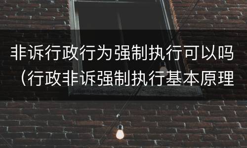 非诉行政行为强制执行可以吗（行政非诉强制执行基本原理与实务操作）