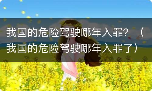 我国的危险驾驶哪年入罪？（我国的危险驾驶哪年入罪了）