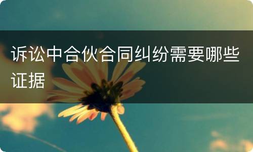 诉讼中合伙合同纠纷需要哪些证据