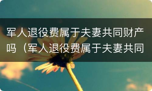 军人退役费属于夫妻共同财产吗（军人退役费属于夫妻共同财产吗知乎）