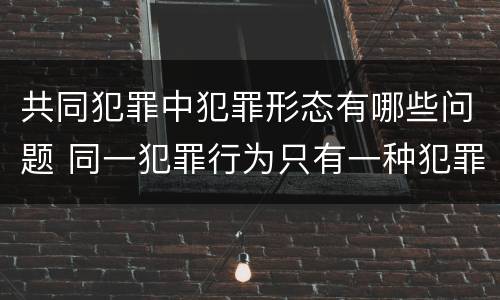 共同犯罪中犯罪形态有哪些问题 同一犯罪行为只有一种犯罪形态