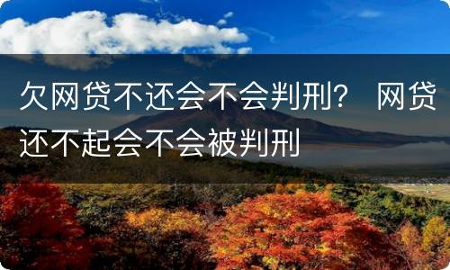 欠网贷不还会不会判刑？ 网贷还不起会不会被判刑