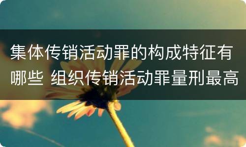 集体传销活动罪的构成特征有哪些 组织传销活动罪量刑最高