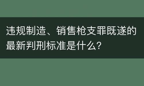 违规制造、销售枪支罪既遂的最新判刑标准是什么？