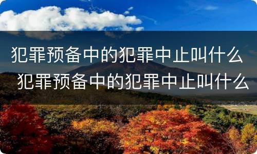 犯罪预备中的犯罪中止叫什么 犯罪预备中的犯罪中止叫什么案件