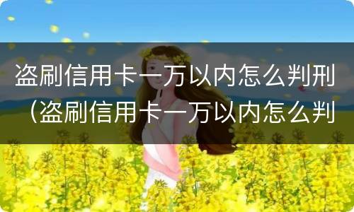 盗刷信用卡一万以内怎么判刑（盗刷信用卡一万以内怎么判刑案例）
