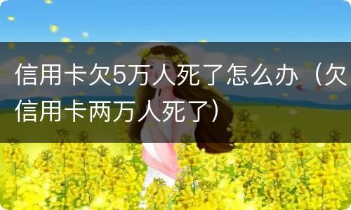 信用卡欠5万人死了怎么办（欠信用卡两万人死了）