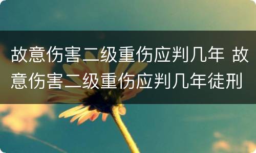 故意伤害二级重伤应判几年 故意伤害二级重伤应判几年徒刑