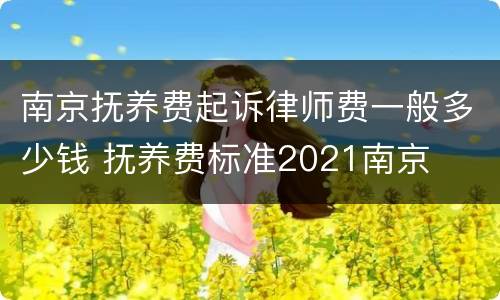 南京抚养费起诉律师费一般多少钱 抚养费标准2021南京