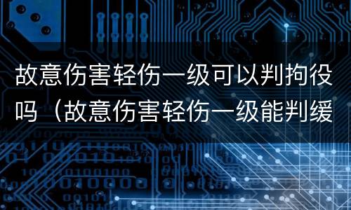 故意伤害轻伤一级可以判拘役吗（故意伤害轻伤一级能判缓刑吗）