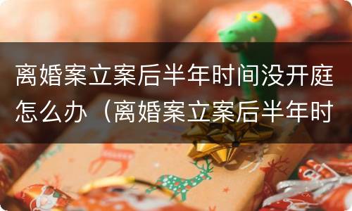 离婚案立案后半年时间没开庭怎么办（离婚案立案后半年时间没开庭怎么办理）