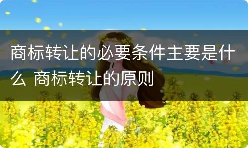商标转让的必要条件主要是什么 商标转让的原则