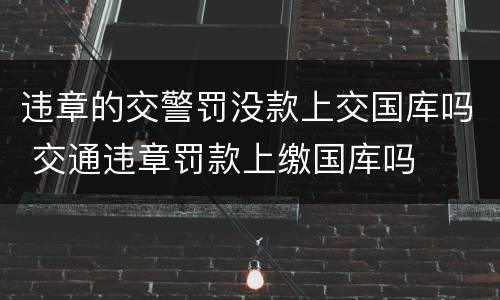 违章的交警罚没款上交国库吗 交通违章罚款上缴国库吗