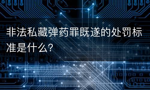 非法私藏弹药罪既遂的处罚标准是什么？