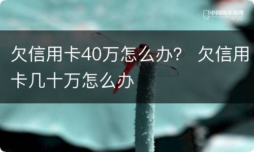 欠信用卡40万怎么办？ 欠信用卡几十万怎么办