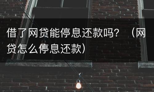 借了网贷能停息还款吗？（网贷怎么停息还款）