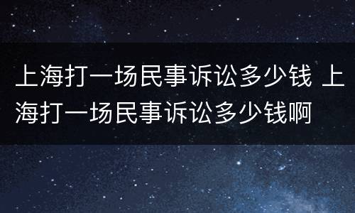 上海打一场民事诉讼多少钱 上海打一场民事诉讼多少钱啊