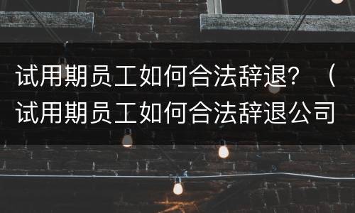 试用期员工如何合法辞退？（试用期员工如何合法辞退公司）