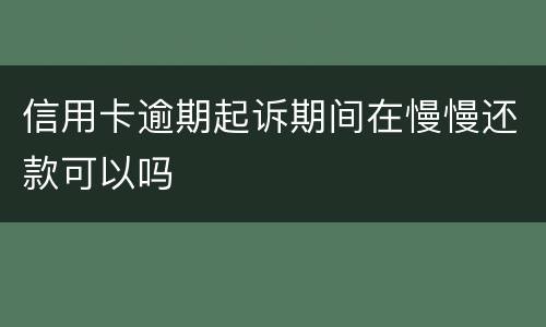 信用卡逾期起诉期间在慢慢还款可以吗