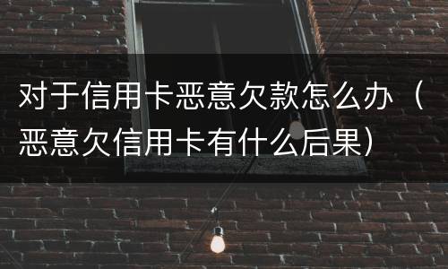 对于信用卡恶意欠款怎么办（恶意欠信用卡有什么后果）
