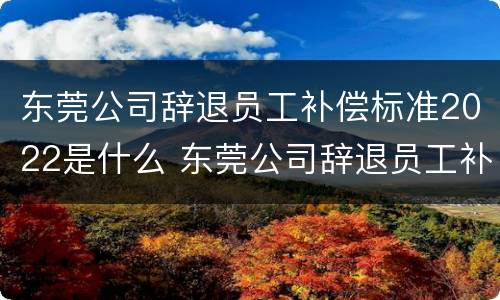 东莞公司辞退员工补偿标准2022是什么 东莞公司辞退员工补偿标准2022是什么时候发放