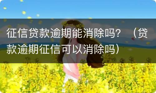 征信贷款逾期能消除吗？（贷款逾期征信可以消除吗）