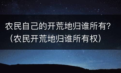 农民自己的开荒地归谁所有？（农民开荒地归谁所有权）