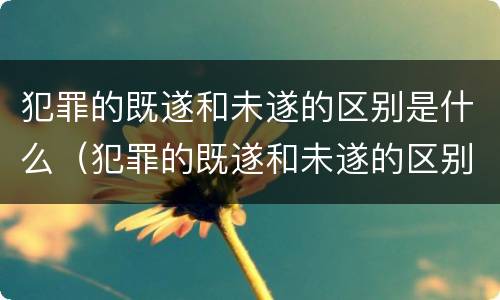 犯罪的既遂和未遂的区别是什么（犯罪的既遂和未遂的区别是什么呢）