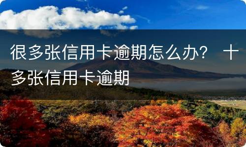 很多张信用卡逾期怎么办？ 十多张信用卡逾期