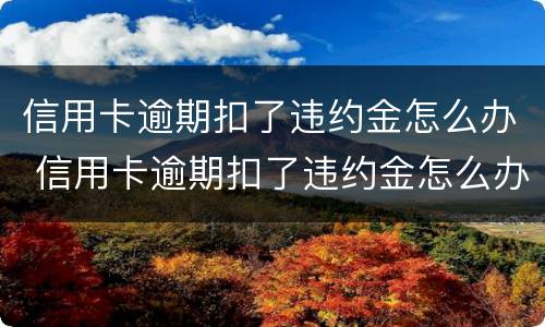 信用卡逾期扣了违约金怎么办 信用卡逾期扣了违约金怎么办理