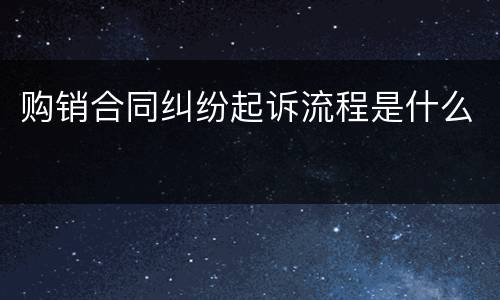 购销合同纠纷起诉流程是什么