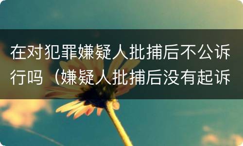 在对犯罪嫌疑人批捕后不公诉行吗（嫌疑人批捕后没有起诉是什么原因）
