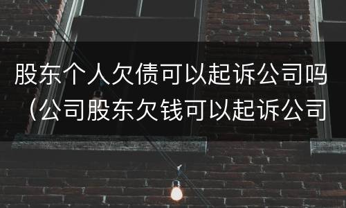 股东个人欠债可以起诉公司吗（公司股东欠钱可以起诉公司么）