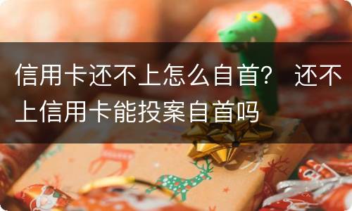信用卡还不上怎么自首？ 还不上信用卡能投案自首吗