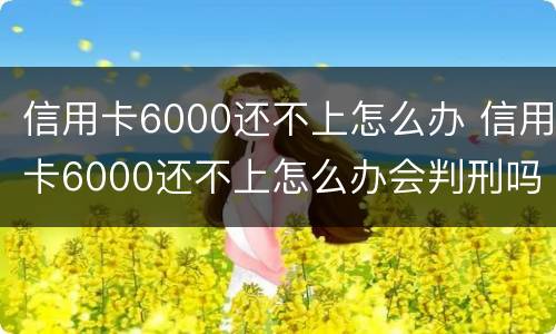 信用卡6000还不上怎么办 信用卡6000还不上怎么办会判刑吗